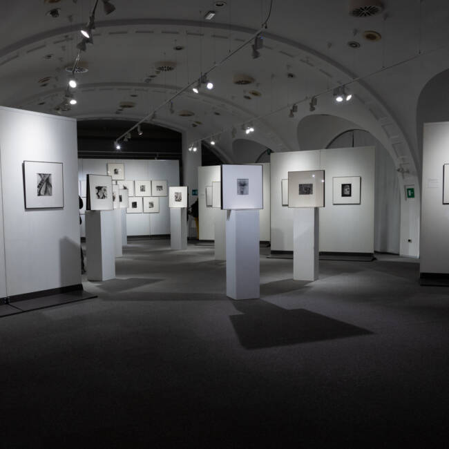 Lo sguardo di Tina. Il Messico degli anni Venti nella fotografia di Tina Modotti