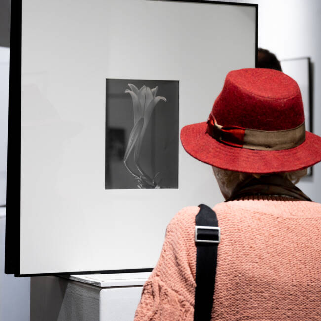 Lo sguardo di Tina. Il Messico degli anni Venti nella fotografia di Tina Modotti