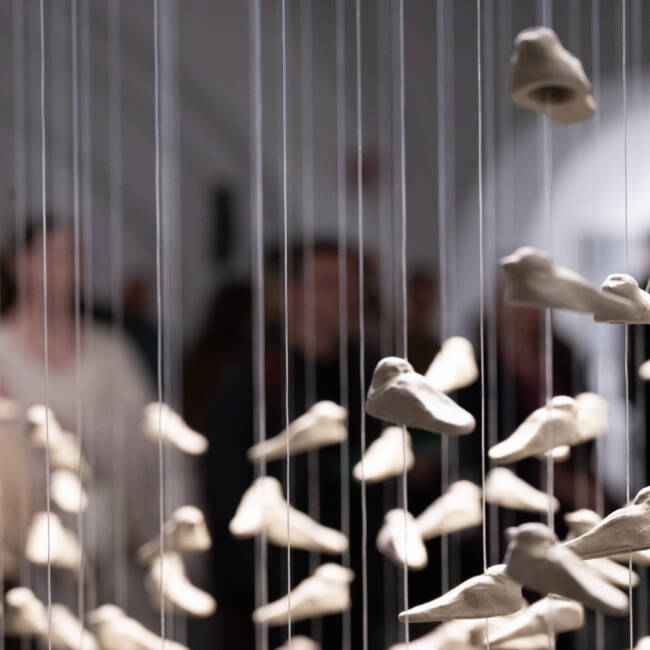 Still Life - Quo vadis? 2023 - Corea del Sud