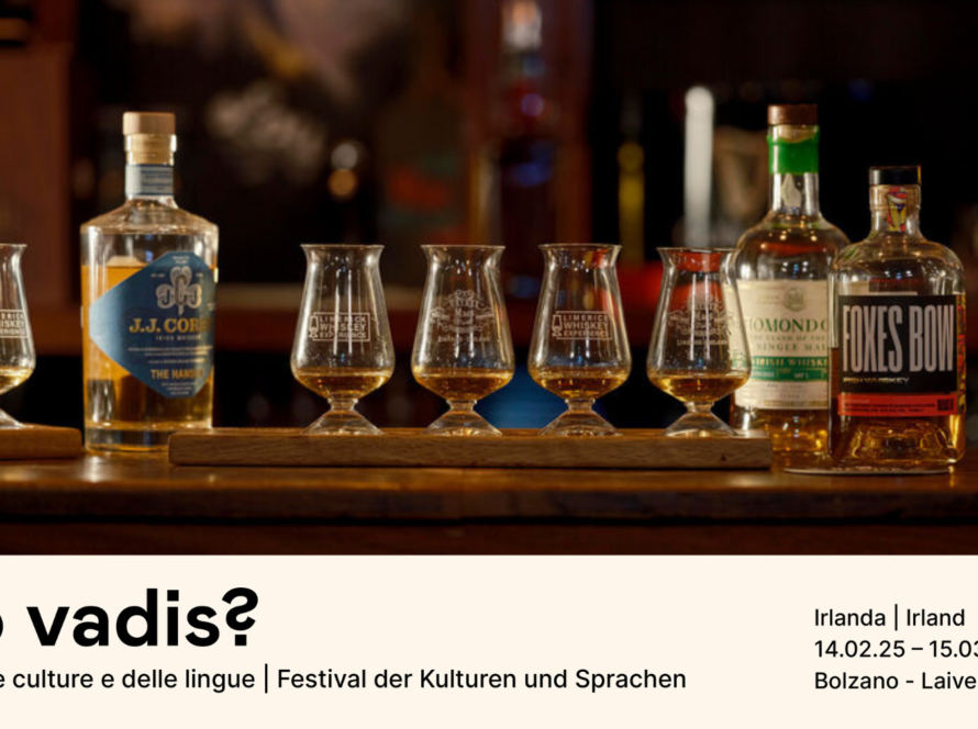 Degustazione di whisky irlandese