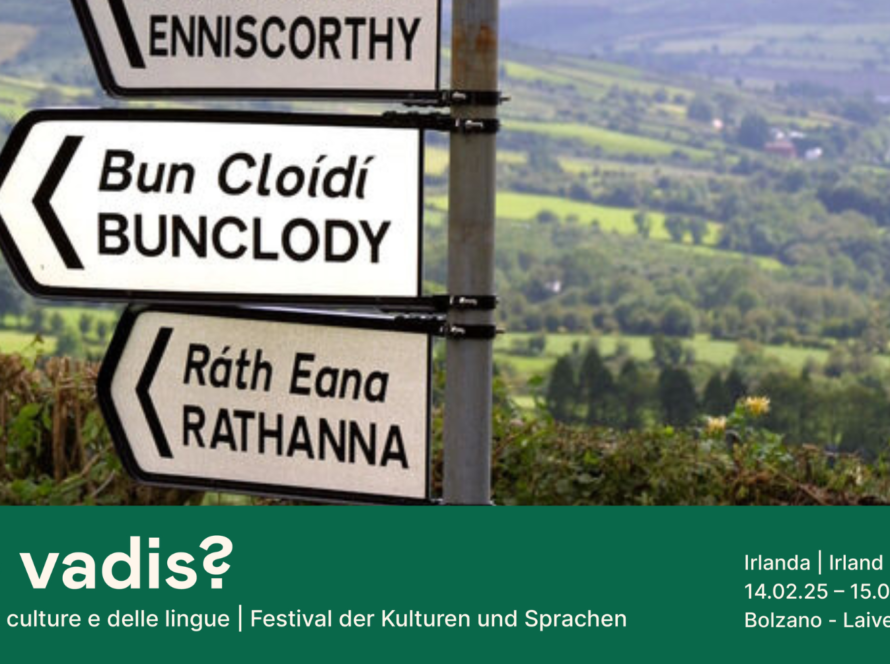 Molte voci di una sola isola_ piccola storia linguistica d’Irlanda