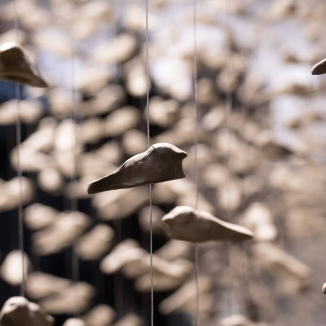 Still Life - Quo vadis? 2023 - Corea del Sud